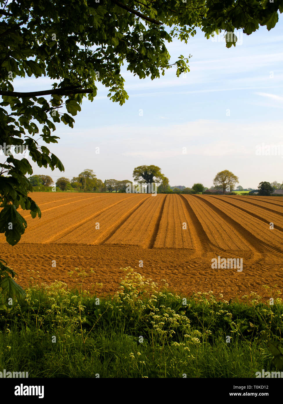 Gepflügte Feld bereit für Kulturpflanzen Stockfoto