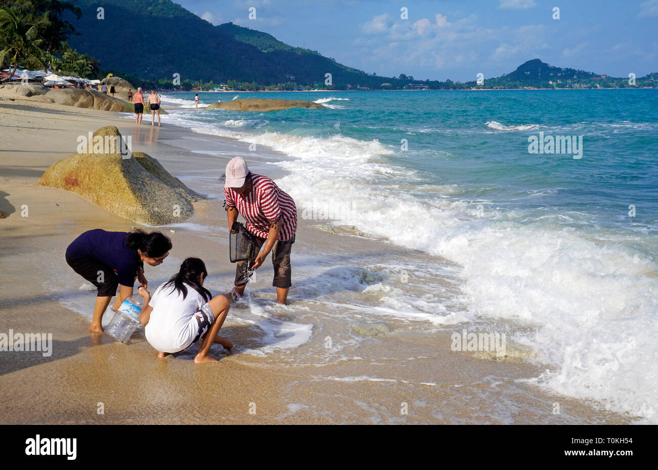 Thailändische Frauen Graben für Muscheln am Strand Lamai Beach, Koh Samui, Golf von Thailand, Thailand Stockfoto