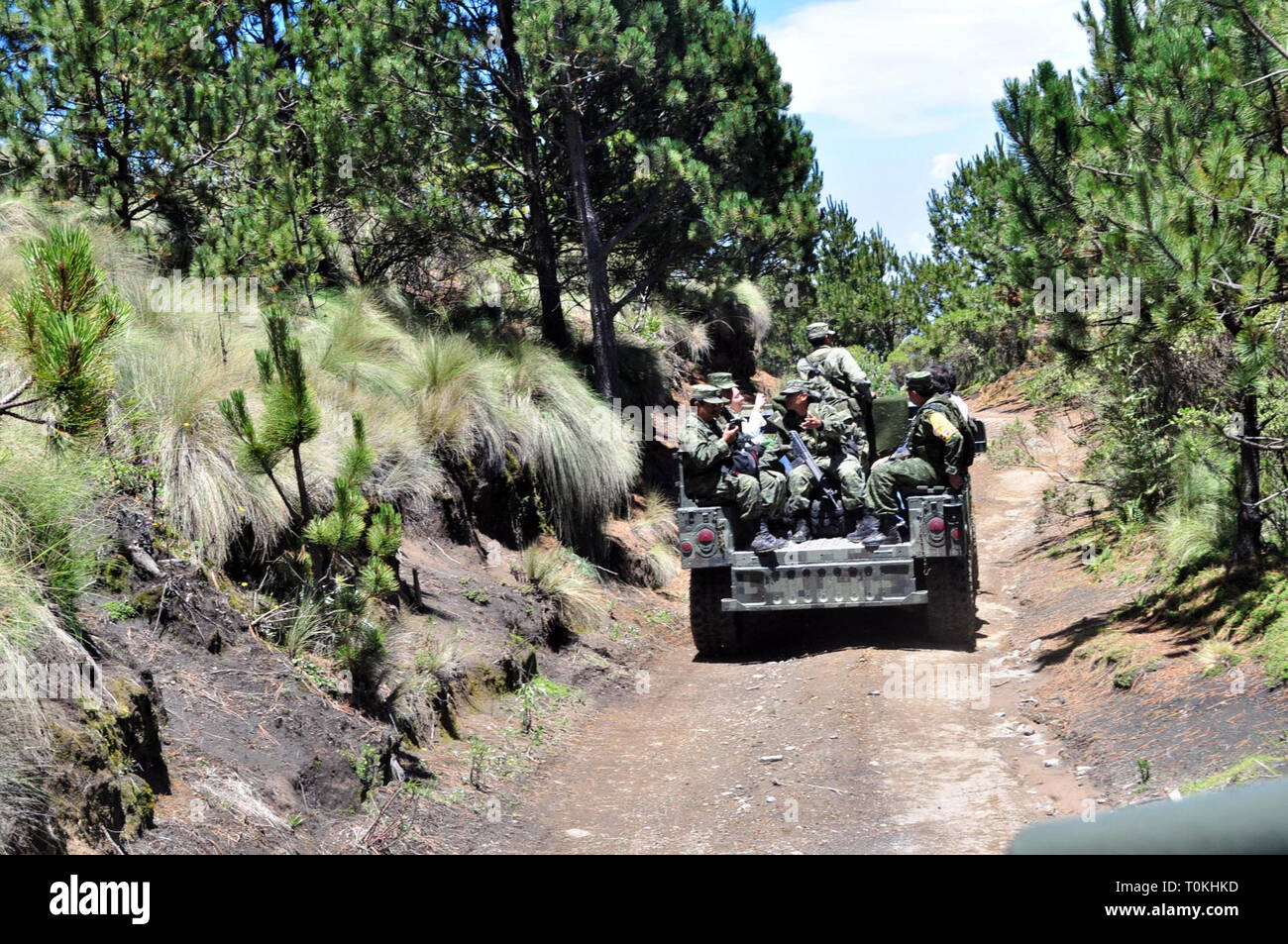 ORIZABA. - Elementos del Ejercito Mexicano llevaron a Cabo en el Parque Nacional? Pico de Orizaba? La de reforestación arbolitos de Pino blanco para reducir Los daños que ha causado La Tala clandestina, se Estima que con el apoyo de 150 elementos y en un lapso de entre ocho y 10 Días, Sean reforestadas 50 hectáreas con la siembra de 50 mil plántulas de pino Blanco. /FOTOJAROCHA.COM/ Patricia Barradas/NortePhoto Stockfoto