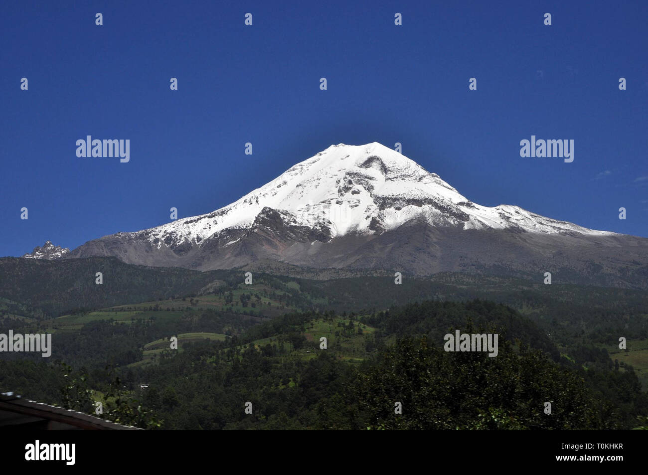 ORIZABA. - Elementos del Ejercito Mexicano llevaron a Cabo en el Parque Nacional? Pico de Orizaba? La de reforestación arbolitos de Pino blanco para reducir Los daños que ha causado La Tala clandestina, se Estima que con el apoyo de 150 elementos y en un lapso de entre ocho y 10 Días, Sean reforestadas 50 hectáreas con la siembra de 50 mil plántulas de pino Blanco. /FOTOJAROCHA.COM/ Patricia Barradas/NortePhoto Stockfoto