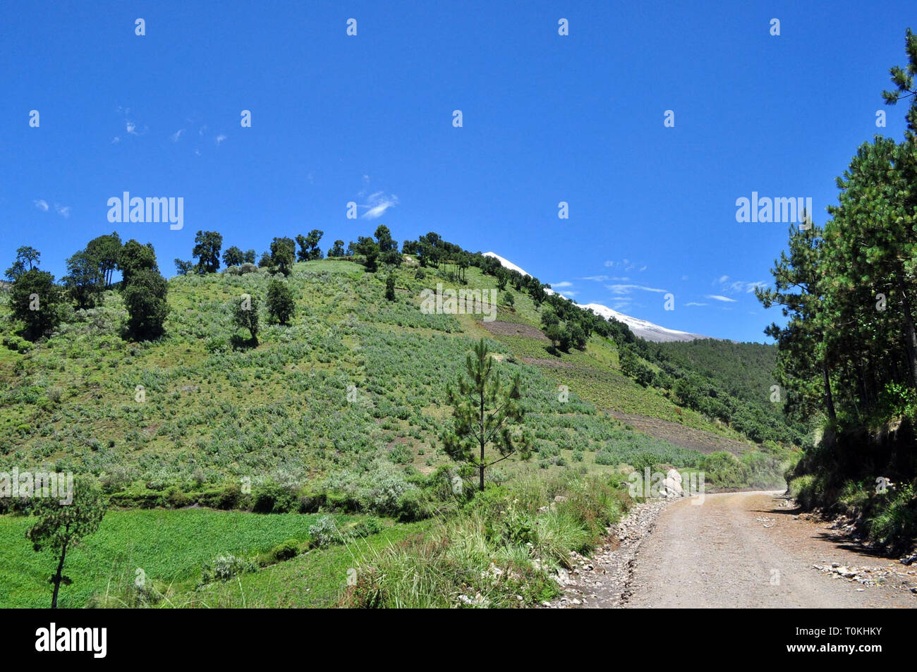 ORIZABA. - Elementos del Ejercito Mexicano llevaron a Cabo en el Parque Nacional? Pico de Orizaba? La de reforestación arbolitos de Pino blanco para reducir Los daños que ha causado La Tala clandestina, se Estima que con el apoyo de 150 elementos y en un lapso de entre ocho y 10 Días, Sean reforestadas 50 hectáreas con la siembra de 50 mil plántulas de pino Blanco. /FOTOJAROCHA.COM/ Patricia Barradas/NortePhoto Stockfoto
