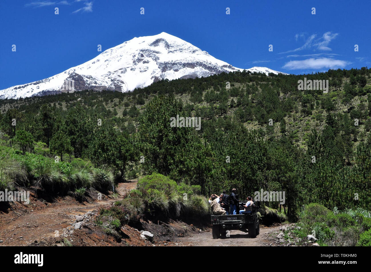 ORIZABA. - Elementos del Ejercito Mexicano llevaron a Cabo en el Parque Nacional? Pico de Orizaba? La de reforestación arbolitos de Pino blanco para reducir Los daños que ha causado La Tala clandestina, se Estima que con el apoyo de 150 elementos y en un lapso de entre ocho y 10 Días, Sean reforestadas 50 hectáreas con la siembra de 50 mil plántulas de pino Blanco. /FOTOJAROCHA.COM/ Patricia Barradas/NortePhoto Stockfoto