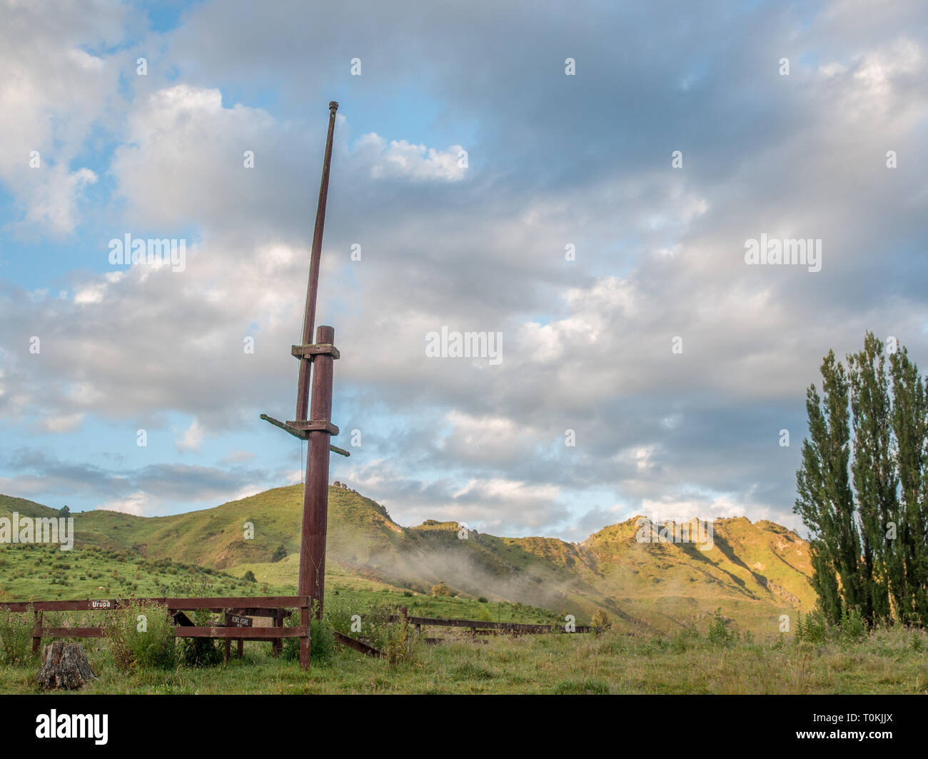 Riri Kore, Hauhau ceremonial Pole, Maraekowhai, Whanganui River, Ruapehu District, Neuseeland Stockfoto