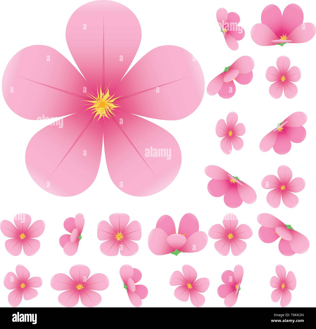 Cherry Blossom, Blumen von Sakura, Set, Rosa, Blumen, Vektor, Abbildung Stock Vektor