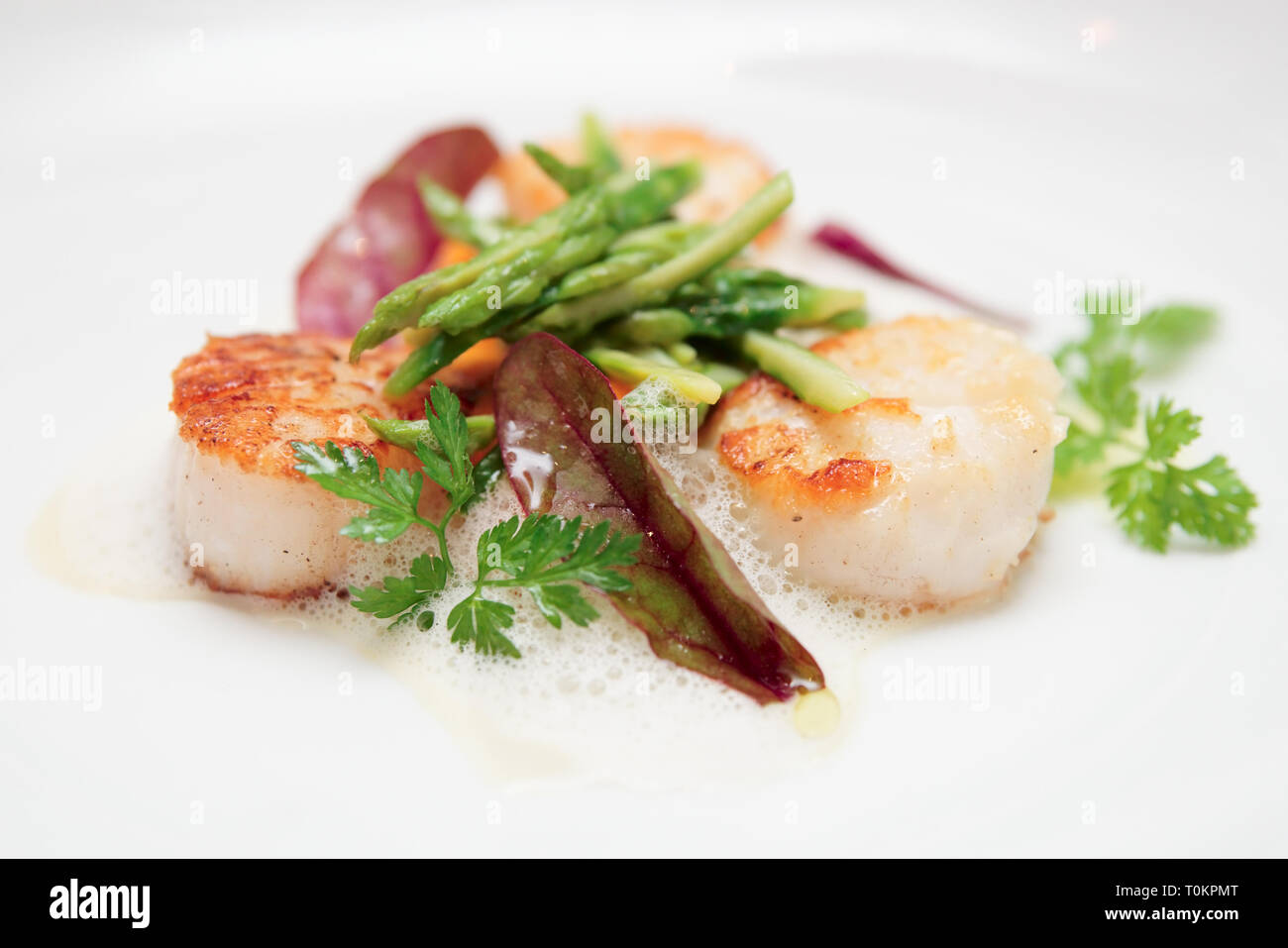 Gegrillte Jakobsmuscheln mit Spargel und molekularen Schaum Stockfoto