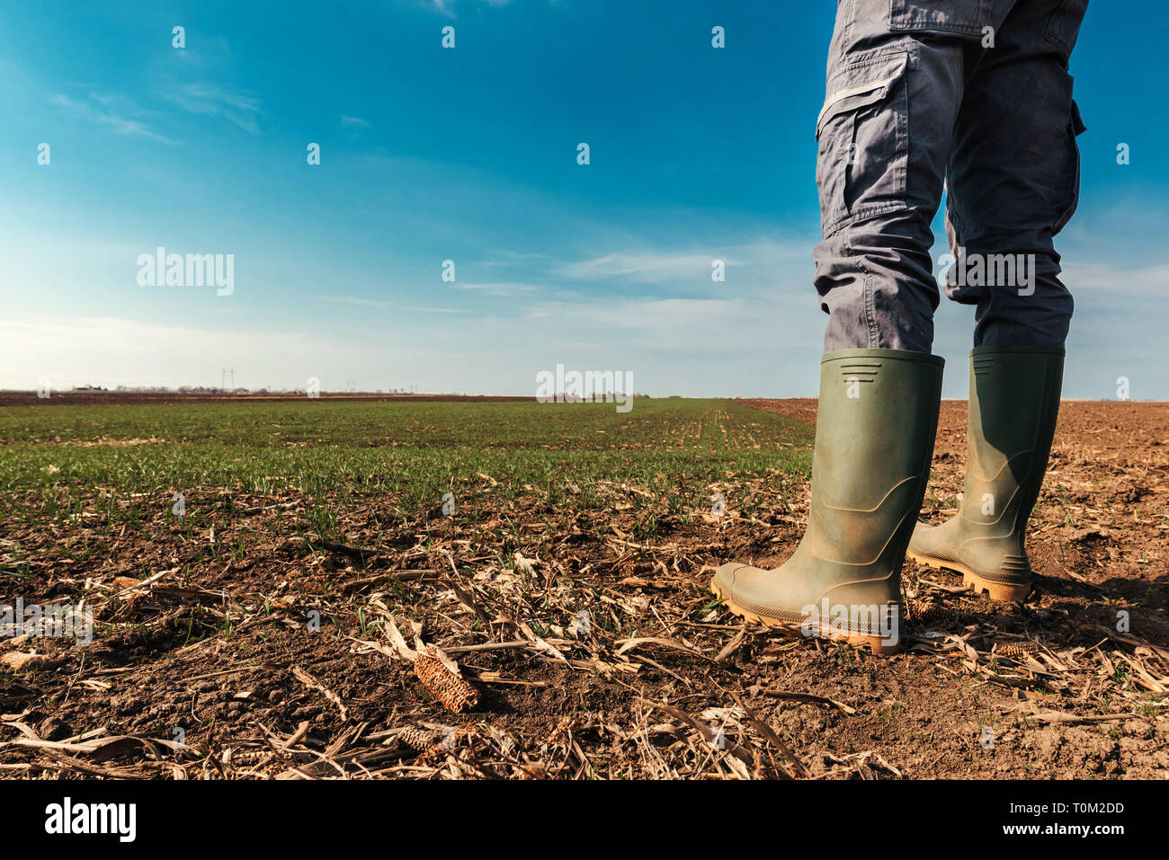 Bauer Planung landwirtschaftlicher Tätigkeit im Feld, Mann in Gummistiefel stehen auf Ackerland Boden Stockfoto