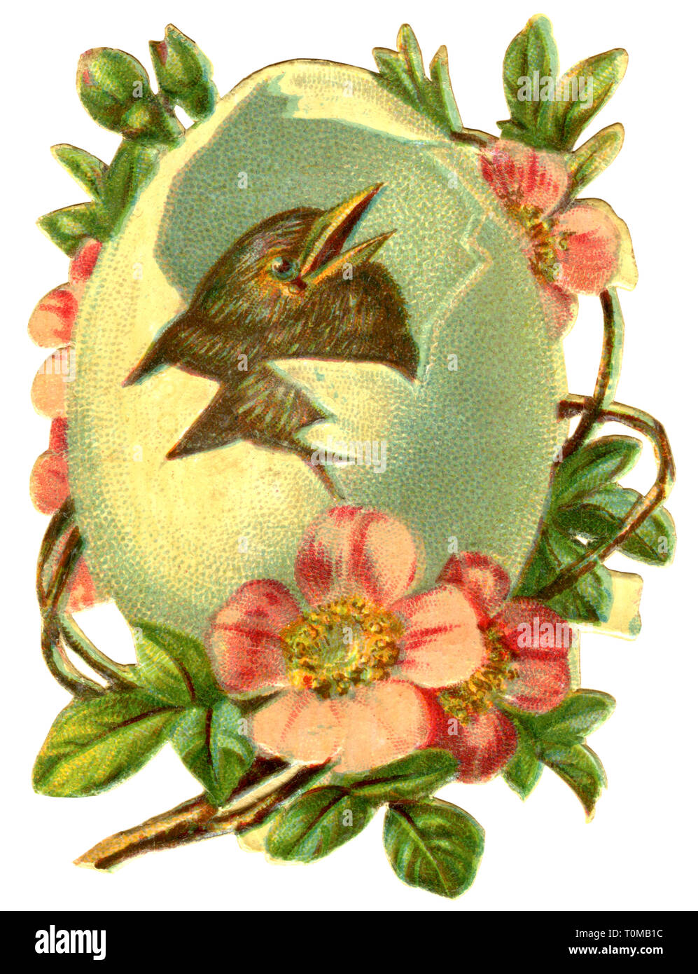 Kitsch, vogel Schlüpfen aus dem Ei, Lithographie, Deutschland, 1895, Additional-Rights - Clearance-Info - Not-Available Stockfoto