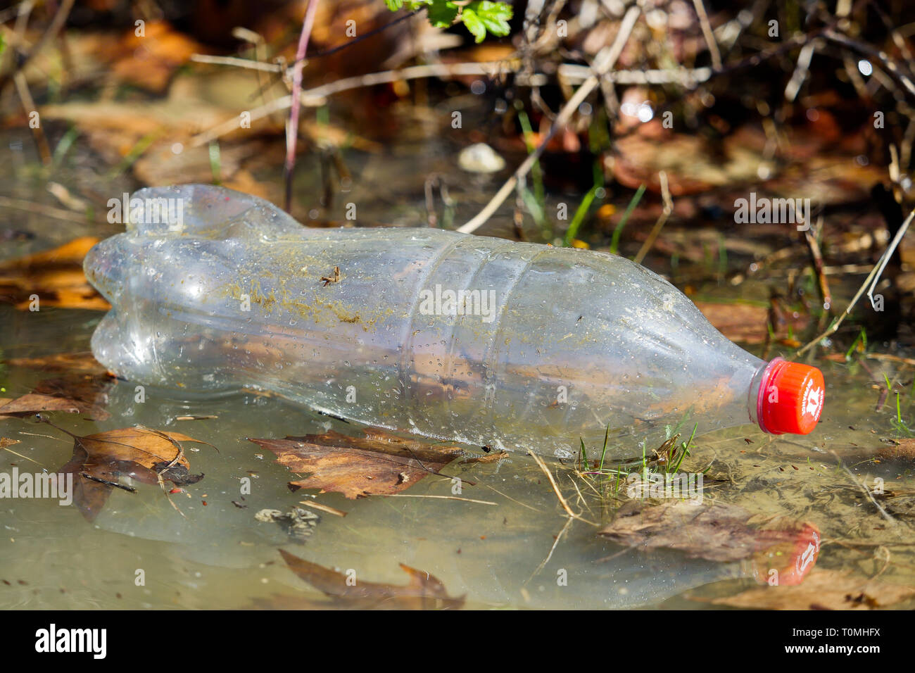 Umwelt: Verschmutzung der Saône, Lyon, Frankreich Stockfoto