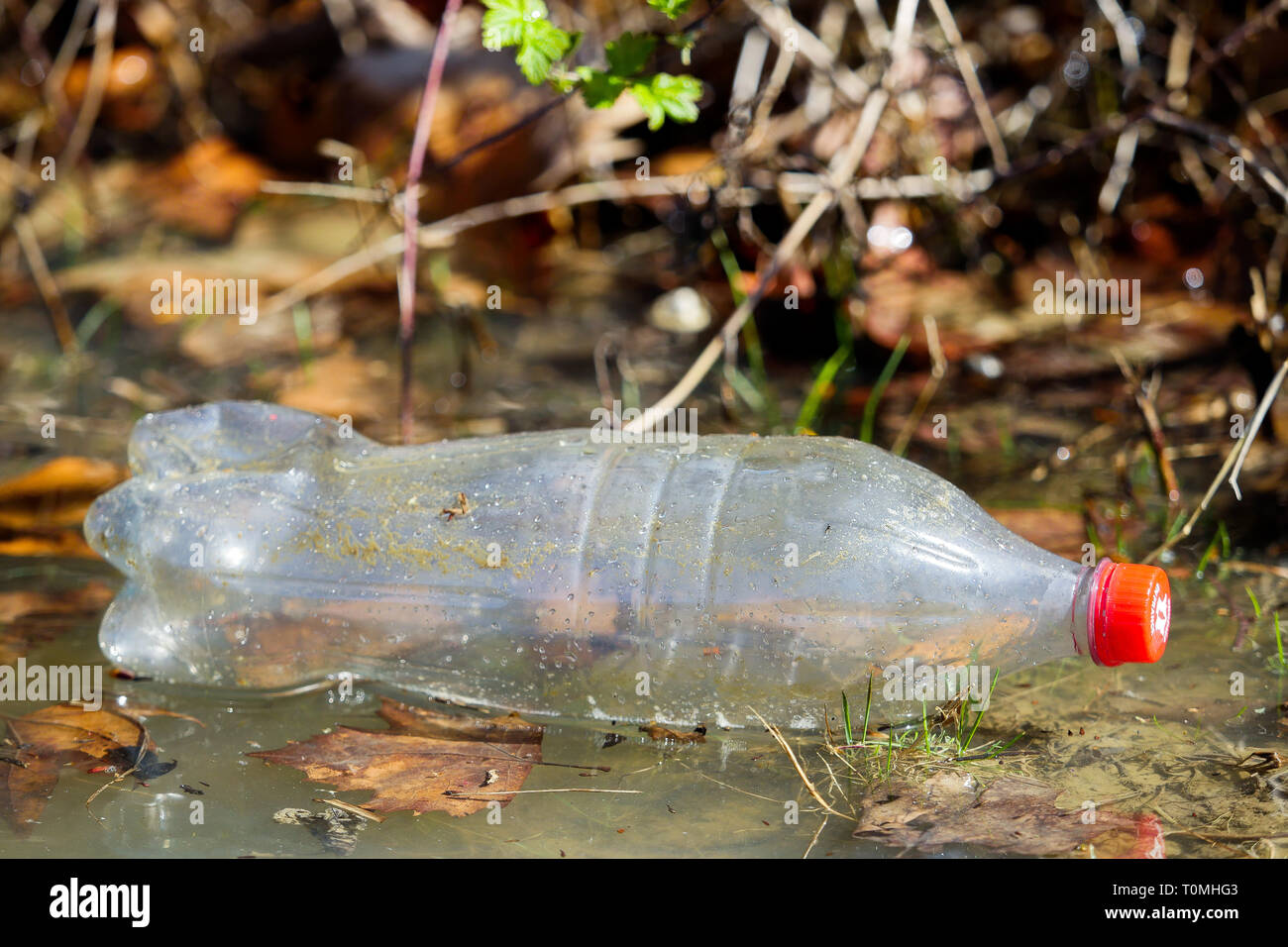 Umwelt: Verschmutzung der Saône, Lyon, Frankreich Stockfoto