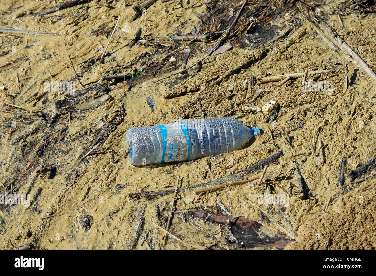 Umwelt: Verschmutzung der Saône, Lyon, Frankreich Stockfoto