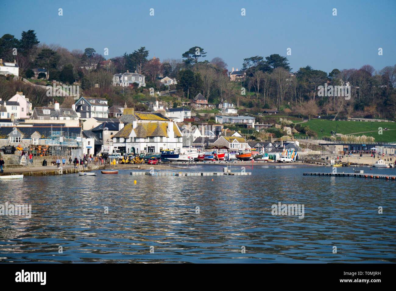 Blick auf den Hafen von Lyme Regis, Dorset England UK Stockfoto