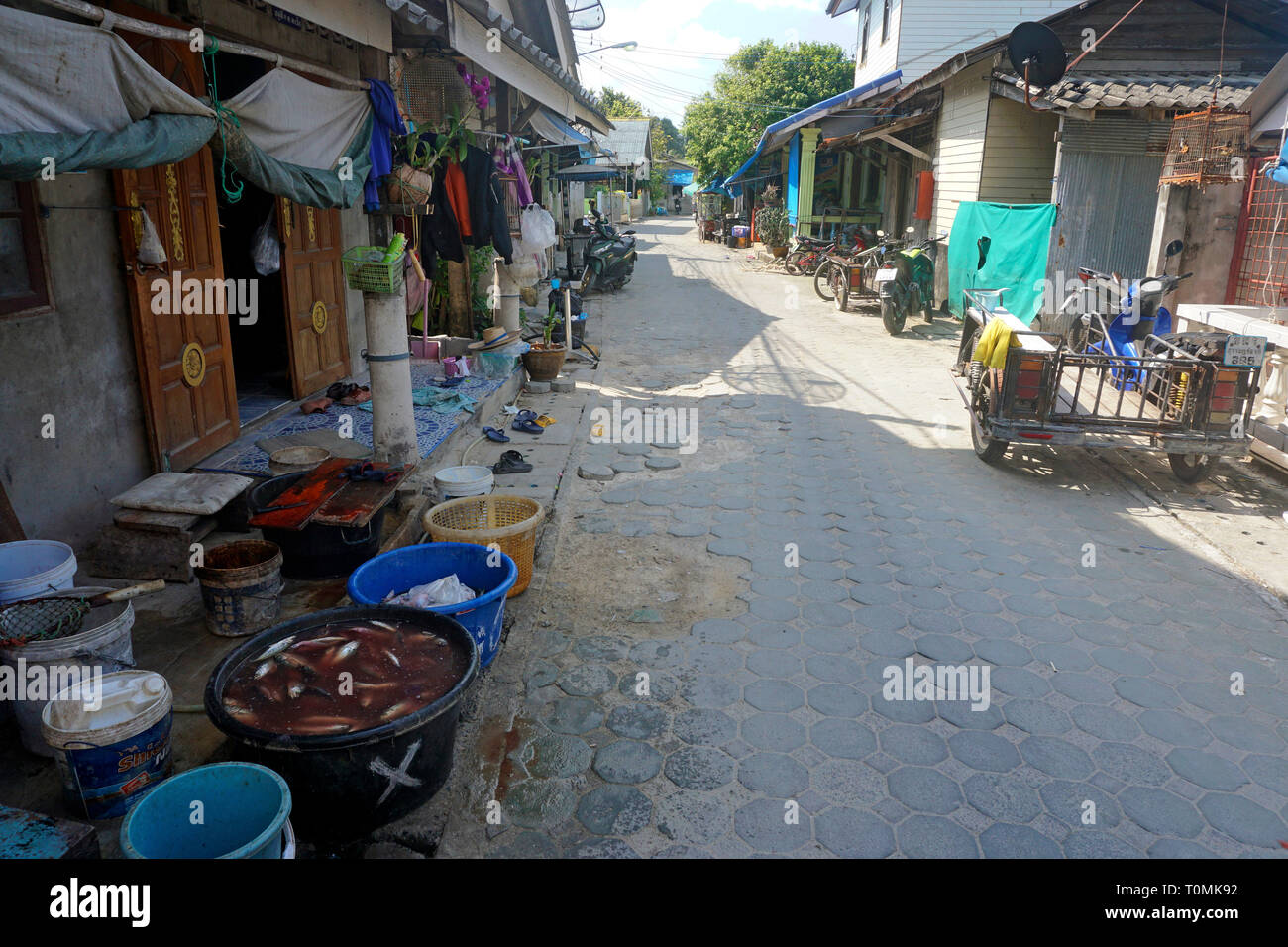 Straße am Fischerdorf Hua Thanon, Koh Samui, Golf von Thailand, Thailand Stockfoto