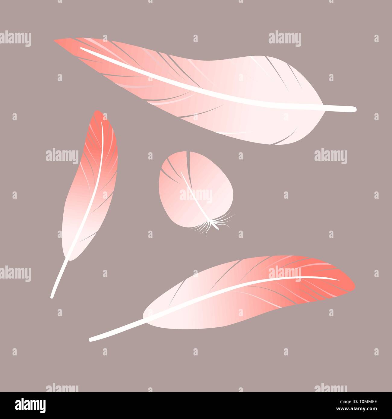 Rosa flamingo Federn Sammlung von verschiedenen Fallen flauschige twirled Federn, Stock Vektor