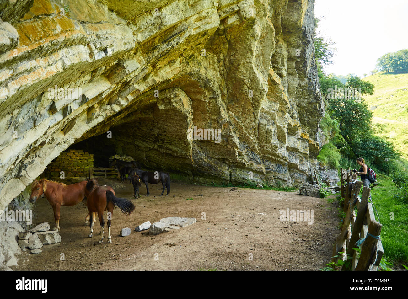 Junge Wandererin beim Betrachten von Pferden in der Höhle Arpea, einer spektakulären Falte mit Antitlinien, die als Pferdehuhltort in den französischen Pyrenäen (Estérençuby, Frankreich) genutzt wird Stockfoto