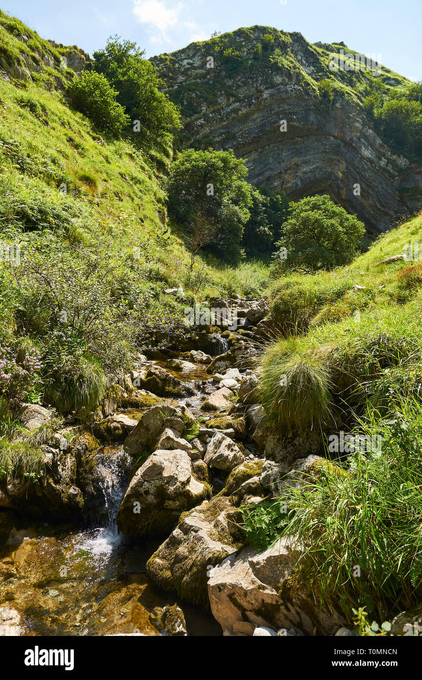 Harpéko Erréka wasser Creek in der Nähe von Arpea Höhle, spektakuläre Antiklinale Falten umgeben von grünen Wiesen und Weiden in den französischen Pyrenäen (Estérençuby, Frankreich) Stockfoto