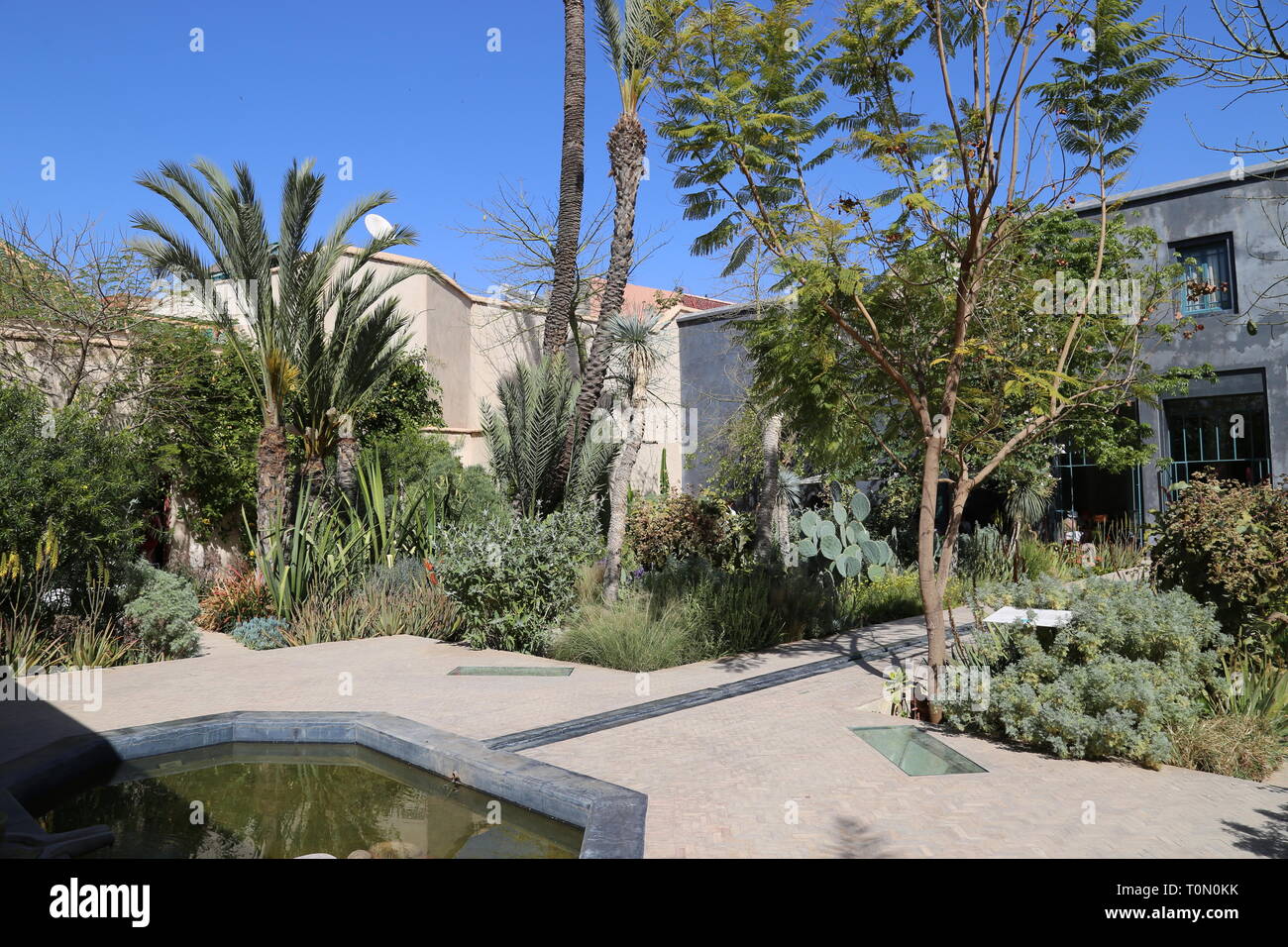 Exotische Garten, der geheime Garten, Rue Mouassine, Medina, Marrakesch