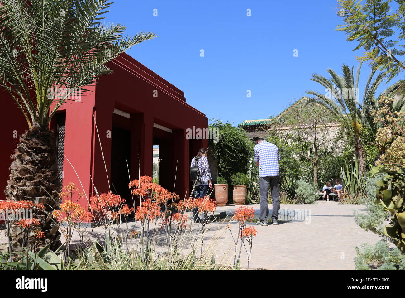 Geheimer garten marrakesch Fotos und Bildmaterial in hoher Auflösung