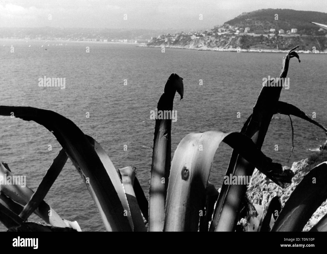 Geographie/Reisen, Monaco, Blick über das Meer, 1950er Jahre, Additional-Rights - Clearance-Info - Not-Available Stockfoto