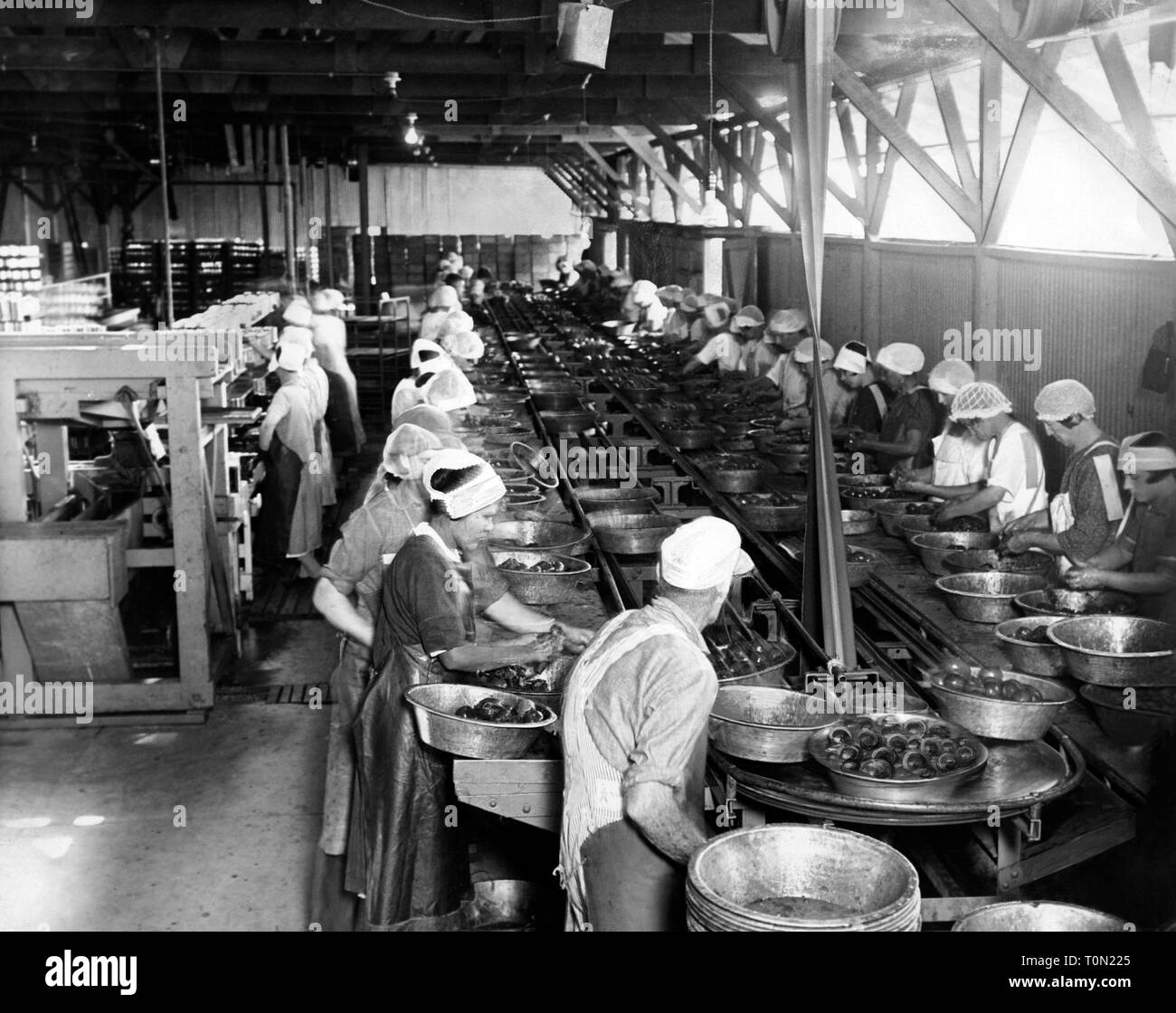 Amerika, Kalifornien, Arbeiter die Früchte Store zu waschen, 1920  Stockfotografie - Alamy