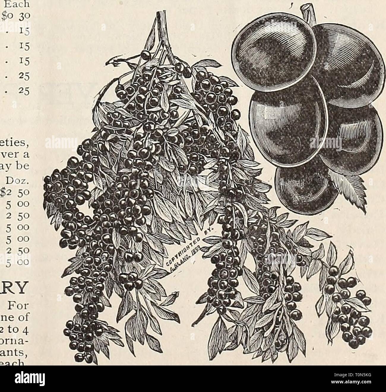 Dreer Ist Herbst Katalog 1895 Dreer Ist Herbst Katalog 1895