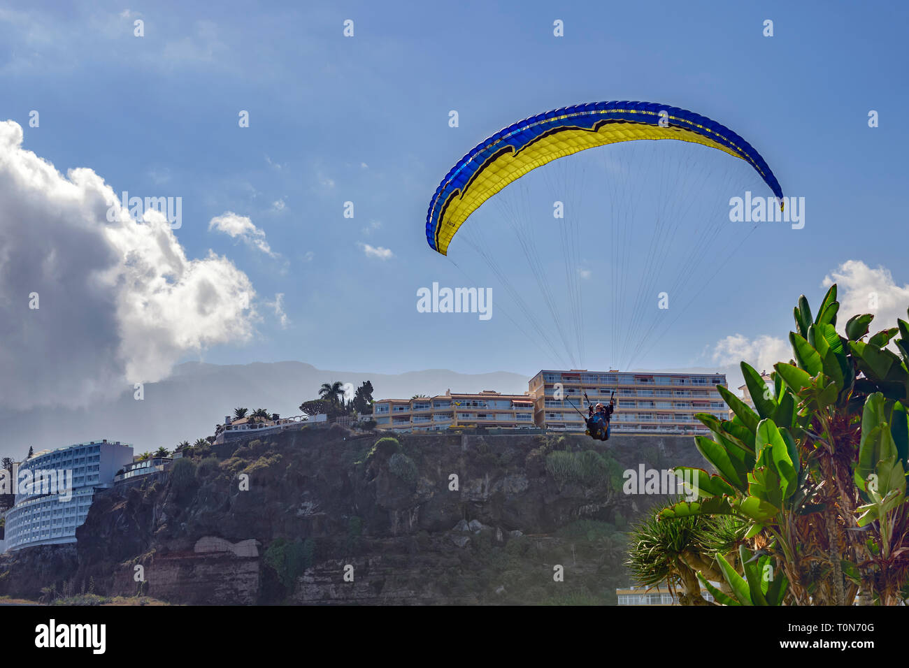 Gleitschirmfliegen in Puerto de la Cruz, Teneriffa, Kanarische Inseln Stockfoto