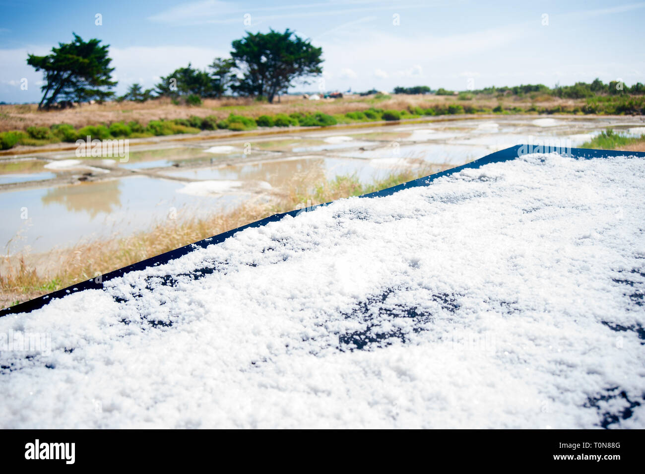 Tabelle mit Trocknung Salz auf eine Kochsalzlösung mit Wasser im Sommer auf der Insel Noirmoutier in Frankreich Stockfoto