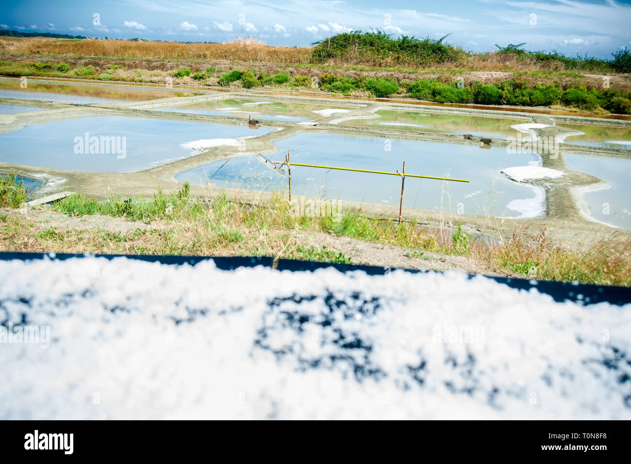 Blick auf eine Kochsalzlösung mit Wasser und Salz mit dem Trocknen im Sommer auf der Insel Noirmoutier in Frankreich Stockfoto