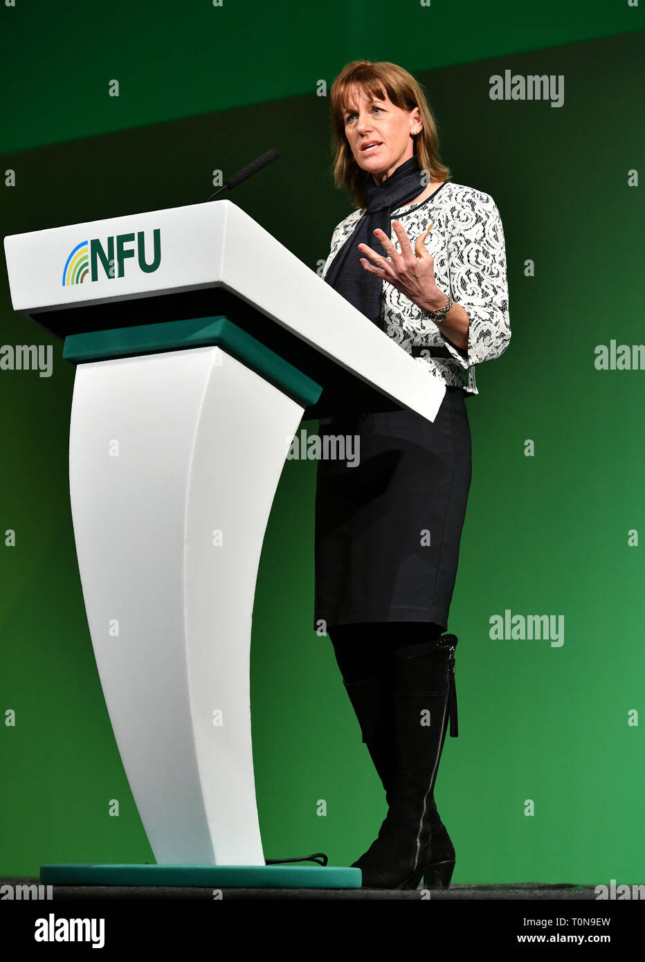 Minette zerschlägt, Präsident der NFU (National Farmers Union) spricht auf dem Podium während der Nfu Konferenz in Birmingham im Februar 2019. Stockfoto