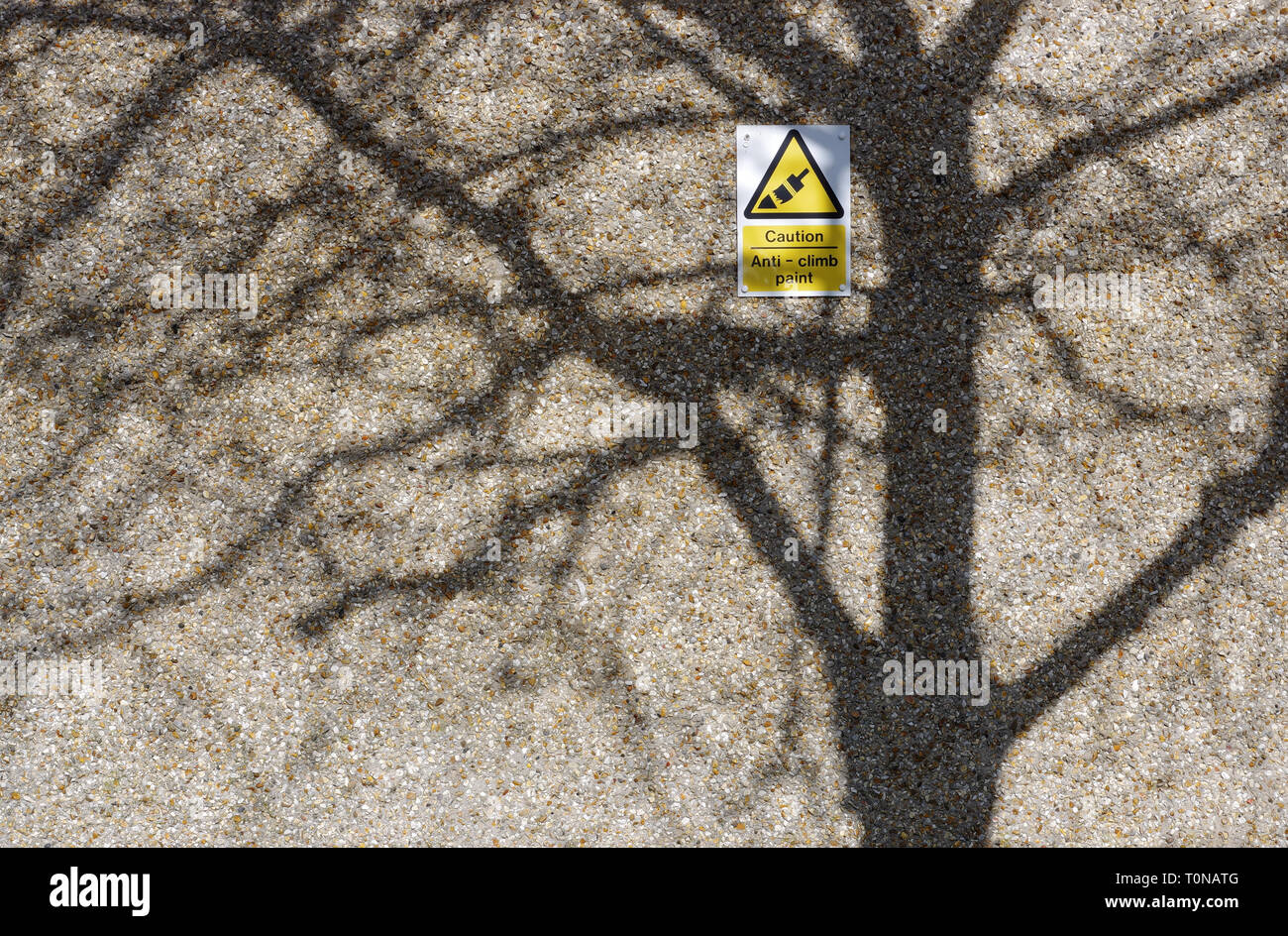 Schatten eines Baumes gegen eine grobe cast Wand mit einem Schild mit der Aufschrift 'Vorsicht - Anti-klettern Paint' Stockfoto