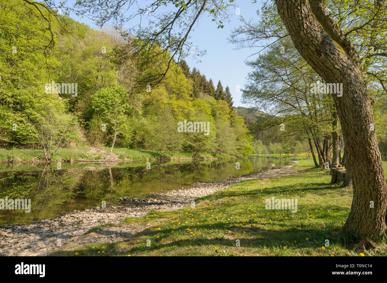 Der Fluss Ourthe in der Nähe von Maboge, La Roche-en-Ardenne in Belgien an einem schönen Tag im frühen Frühling. Das Flussufer mit einem kleinen Strand ist ein beliebtes Tou Stockfoto