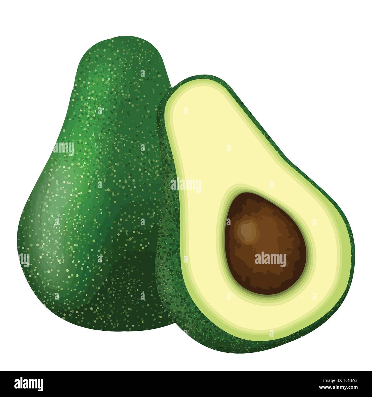 Ganze und halbe Avocado auf weißem Hintergrund ausschneiden, Vektor, Abbildung Stock Vektor