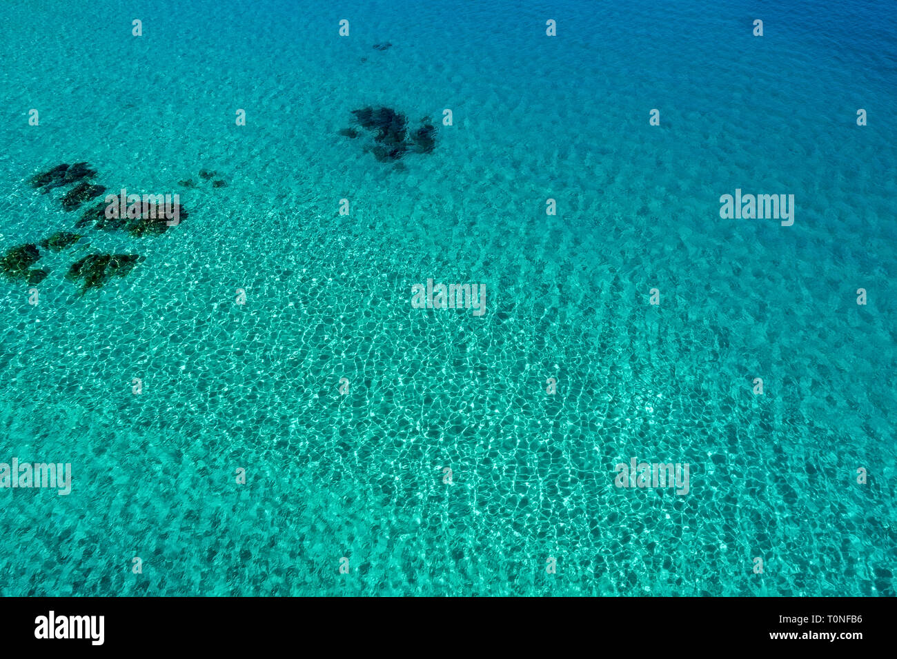 Transparente türkise Meer Wasser, natürliche Hintergrund. Sithonia, Chalkidiki, Griechenland Stockfoto