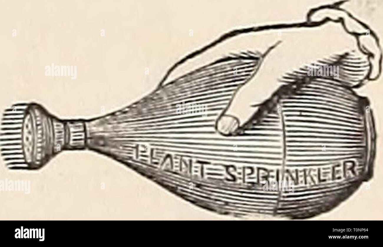 Dreer ist Herbst Katalog 1895 Dreer ist Herbst Katalog: 1895 dreersautumncata 1895 henr Jahr: 1895 IMiGlE der EUREKA FUMIGATOR. Verzinkt.) Höhe 12 cm, Durchmesser oben, 5 Zoll. Für ein Haus 10 x 20 Fuß; hält MPK.der Stiele Si-25. Nr. 2. Höhe 16 cm; Durchmesser oben, 7 Zoll. Für ein Haus 12 x 40 Fuß; hält 1 Peck von Stielen. 1,75 $. Nr. 3. Höhe 20 cm; Durchmesser oben, 9 Zoll. Für ein Haus 15 x 100 Fuß; hält^ Bus. stammt. $ 2 25. Nr. 4. Höhe 24 cm; Durchmesser oben, 12 Zoll. Für ein Haus 20 x 100 Fuß; hält Kbus. der Stiele. S 3.25. Prairie State locubators und Brut- und Aufzuchtapparate für die Geflügelzucht. Stockfoto