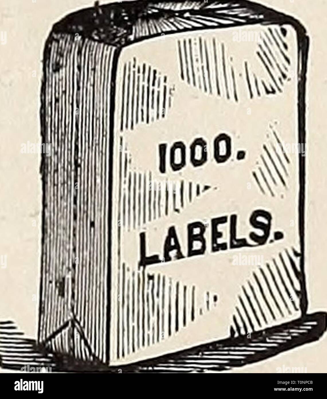 Dreer ist Herbst Katalog 1895 Dreer ist Herbst Katalog: 1895 dreersautumncata 1895 henr Jahr: 1895 verbesserte White Cedar Tree Wannen. Der weiße Zedern gemacht und mit extra-Heavy Iron Bänder. Fallgriffe spezieller Muster, wie Bänder, für die Polen. Kräftigen eisernen Beine von Original Design. Entfernen - perforierte Böden. Grün lackiert. Wenn lackiert Zinnoberrot, fügen Sie 10 Prozent. Maschine. § 6 50 5 5° 4 5° 3 75 3 25 2 75 2 50 2 25 2 00 PLfINT STAKES (grün lackiert). ight Spitz zulaufend. Schwere Dahlie. Außerhalb Länge Keine. Durchm. der Notensysteme in O 27. . 24 in. Ich 25'. 22' 2 23. 20' 3 21. Stockfoto