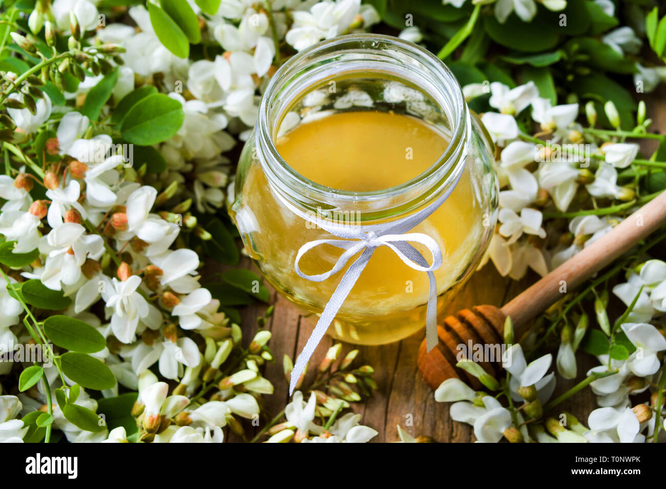Akazienblüten und natürlichem Honig im Glas Stockfoto