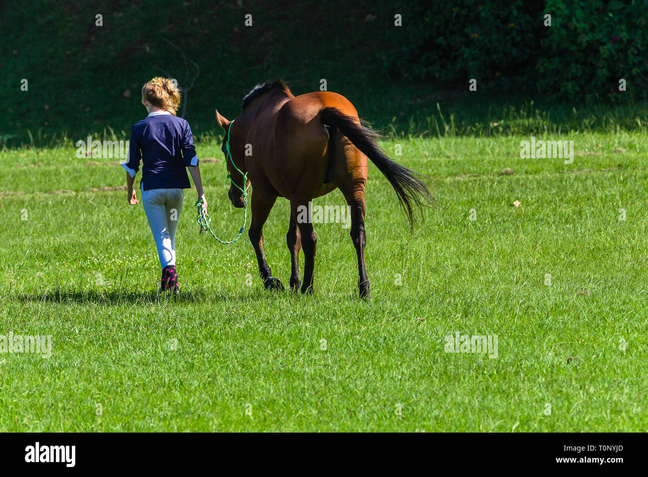 Jugendlicher Mädchen weg mit Pferdesport Pferd über grüne Feld in Richtung Stall hinten hinter Foto bei Tage. Stockfoto