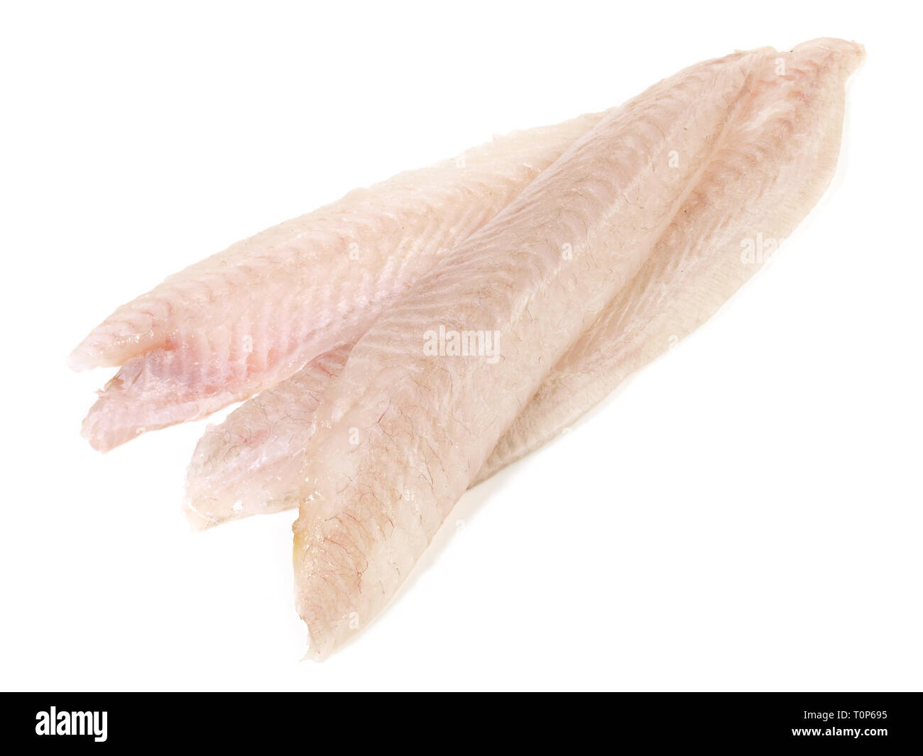 Alleinige Filet - Plattfische auf weißem Hintergrund Stockfoto