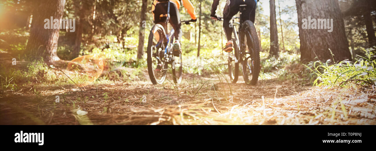 Biker-paar Reiten Mountainbike im Wald Stockfoto