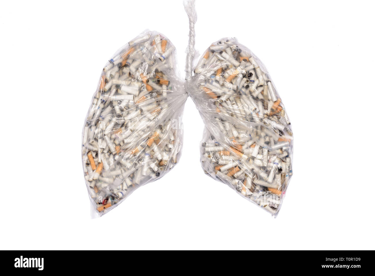 Rauchen aufhören. Zigarettenkippen in den pulmonalen Kontur in transparenten Nylon Tasche. Rauchen Bewusstsein, Gift und Krankheiten der Zigarette. Stockfoto