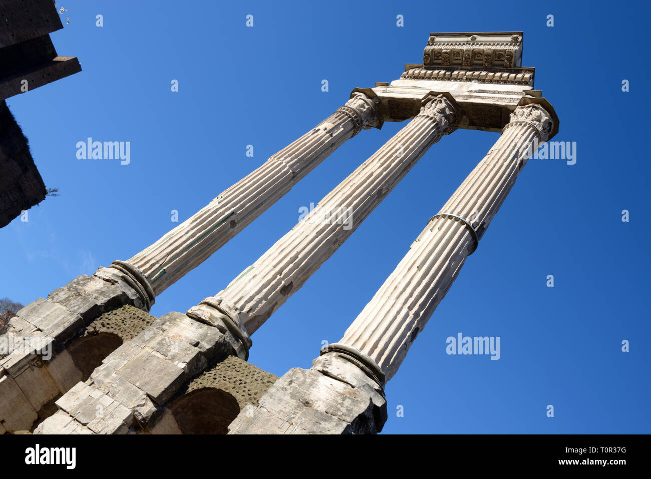 Abstrakte Sicht mit konvergierenden Branchen der antiken römischen Tempel von Castor und Pollux (495 v. Chr.), ein dioskuren Tempel im Forum Romanum, Rom, Italien Stockfoto