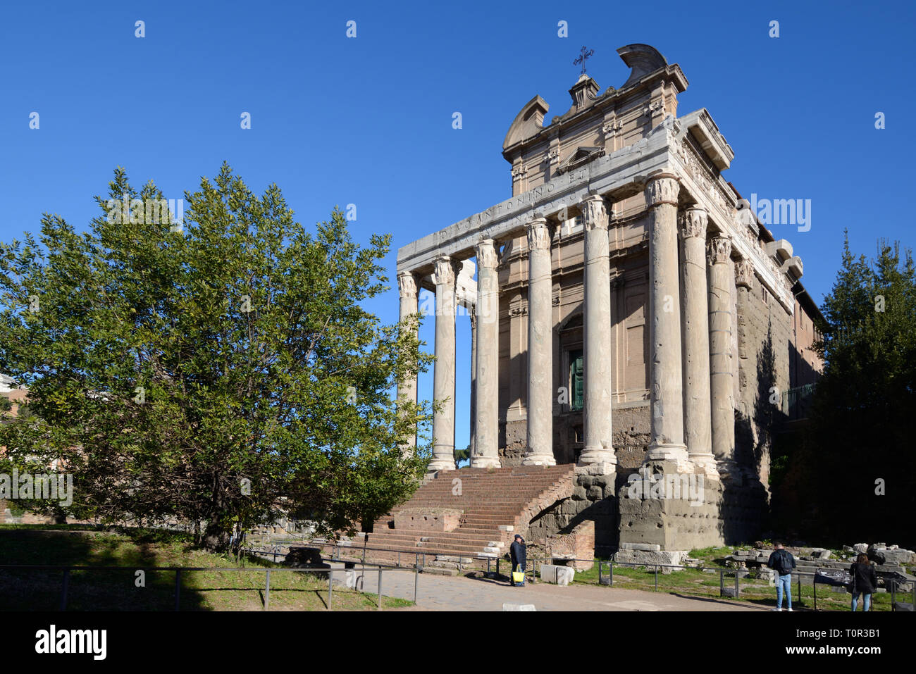 Tempel von Antonius und Faustina 141 AD, später umgewandelt in die Kirche von San Lornza in Miranda, auf der Via Sacra Römerstraße in das Forum Romanum, Rom, Italien Stockfoto