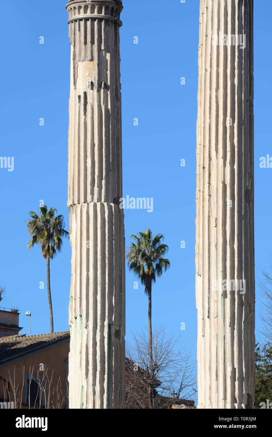 Abstraktes Bild von zwei Spalten & Palmen der antiken römischen Tempel von Castor und Pollux (495 v. Chr.), ein dioskuren Tempel im Forum Romanum, Rom, Italien Stockfoto