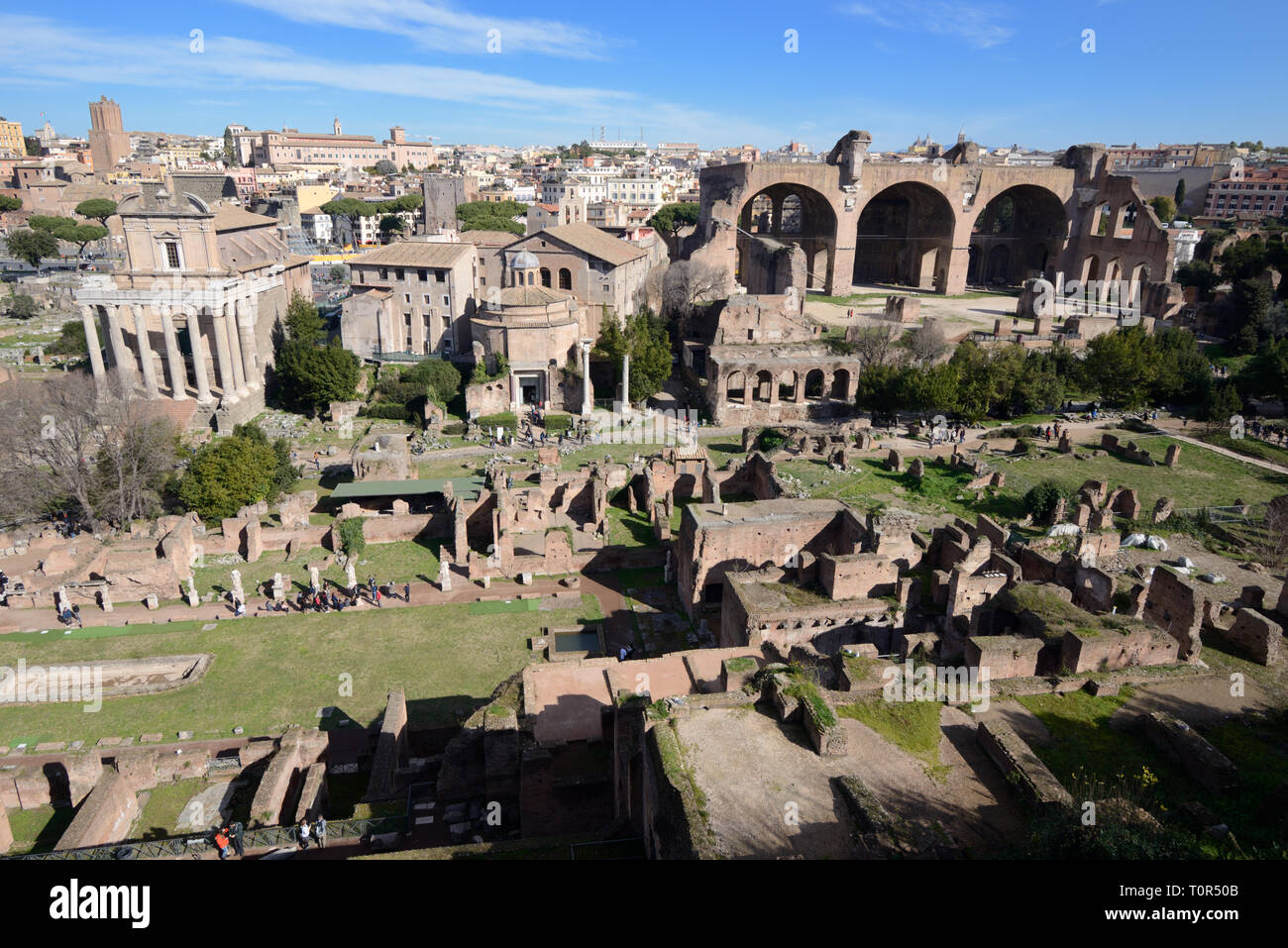 Panoramablick über das Forum Rom mit (unten l) Haus der Vestalinnen & (oben rechts) Basilika von Maxentius & Constantin (312 AD), Rom, Italien Stockfoto