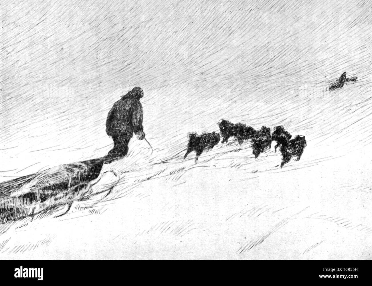 Expedition, Polar Expedition Fram Expedition 1893 - 1896, Fridtjof Nansen und Fredrik Hjalmar Johansen auf dem Weg zum Nordpol, 1895, von: Fridtjof Nansen, in Nacht und Eis", Band II, Leipzig 1897, 19. Jahrhundert, expedition Bericht, Bericht, Berichte, Reisen, Reisen, Forschung, Discovery, Entdeckungen, Arktis, Arktischer Ozean, Fram, Nordpolarmeer, Nordpol, Arktis, Nordpol Gebiet, Teilnehmer, Teilnehmer, Mitglieder, Mitglied, Mannschaft, Mannschaften, halbe Länge, Wandern, Laufen, Gehen, Gehen, Hund, Schlitten, Hundeschlitten, Schlitten, tier, tiere, Hund, d, Additional-Rights - Clearance-Info - Not-Available Stockfoto