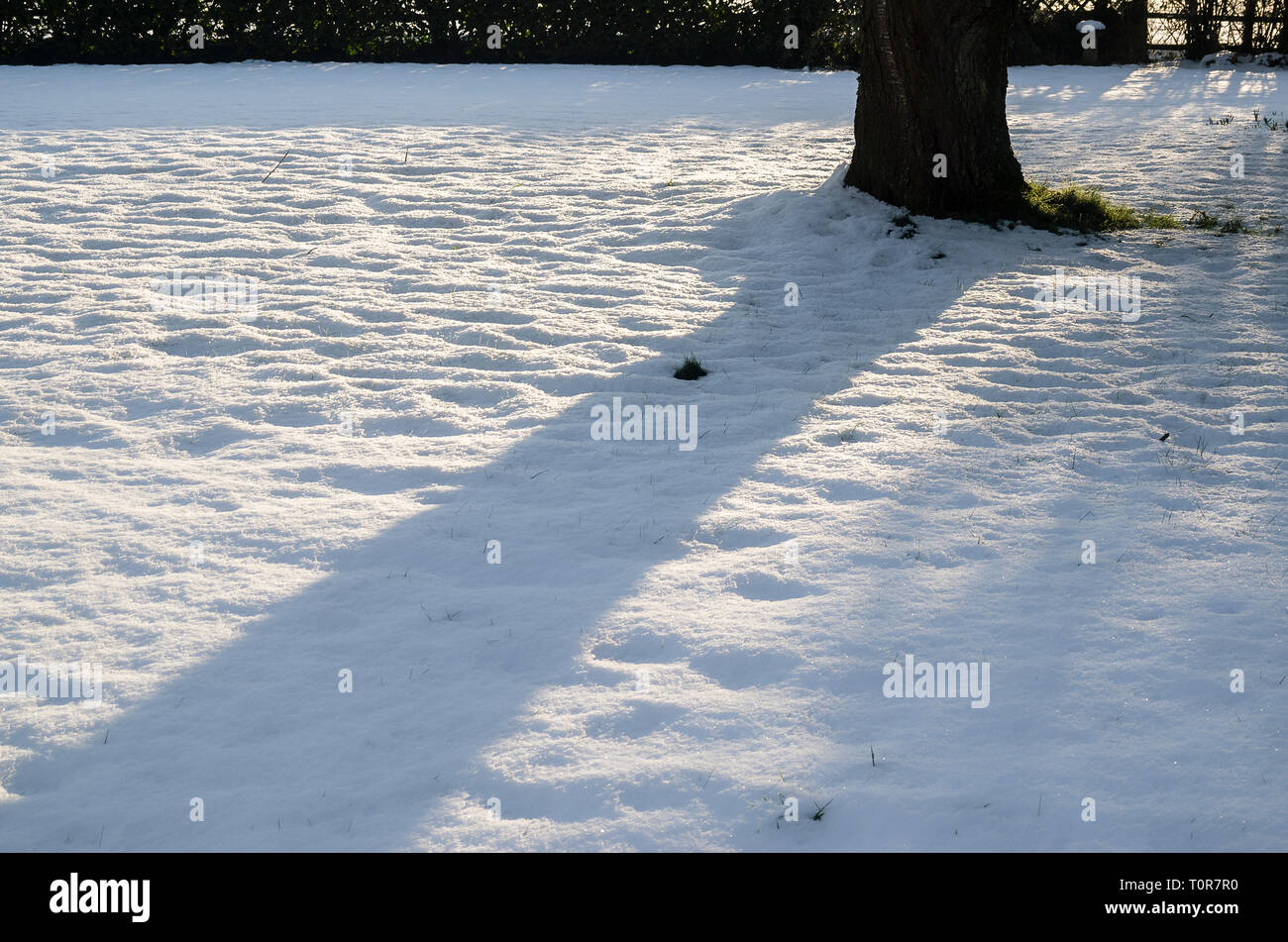 Ein winter Rasen - scape mit Schatten im Februar in Wiltshire UK Stockfoto