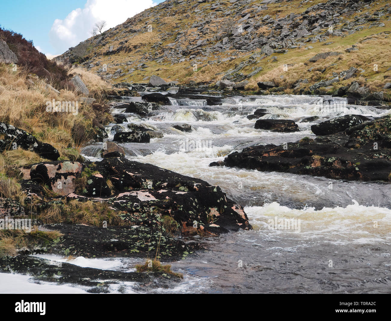 Fluss Tavy Kaskadierung über Felsen durch die tavy Zerspalten, Nationalpark Dartmoor, Devon, Großbritannien Stockfoto