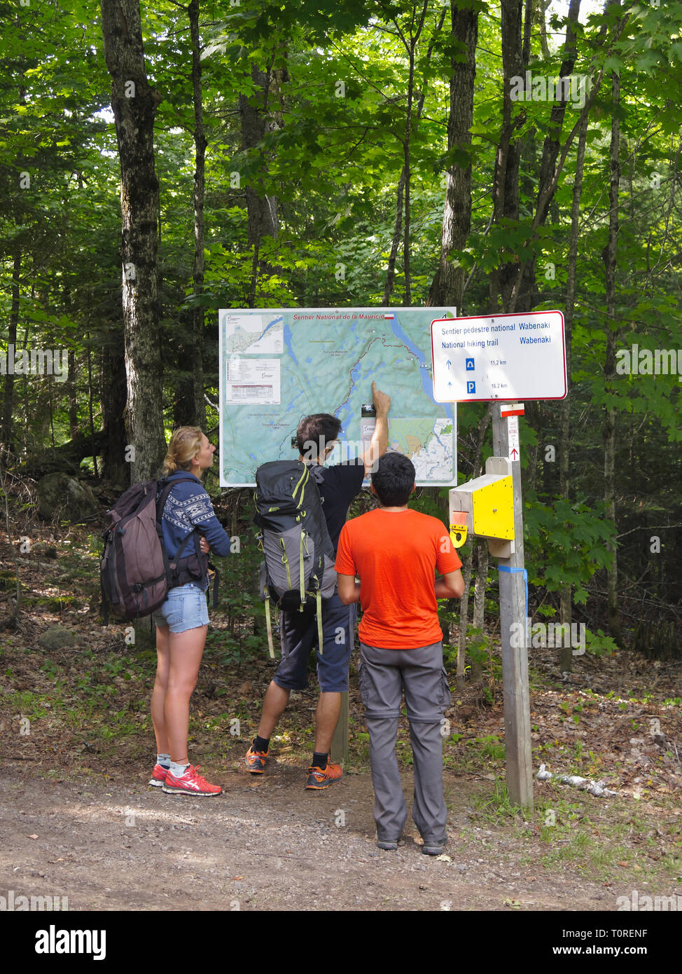 La Mauricicie National Park, Quebec, Kanada, Nordamerika Stockfoto
