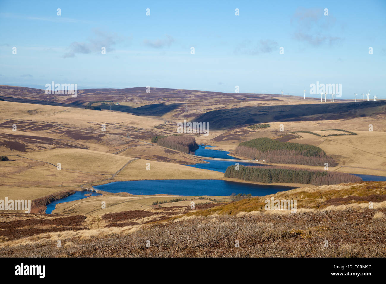 Whiteadder Reservoir ist ein Stausee in East Lothian, Schottland, Großbritannien Stockfoto