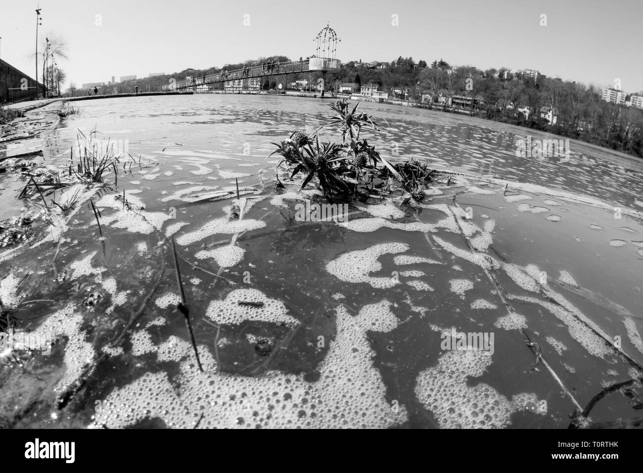 Die Verschmutzung des Flusses Saône, Lyon, Frankreich Stockfoto