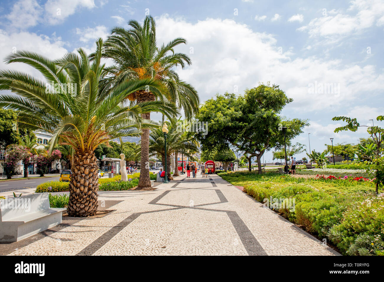 Funchal, Madeira/Portugal-09.05.2019: Straße Av.Do Mar im Zentrum von Funchal am Jachthafen und dem Meer. Üppige Palmen auf dem Bürgersteig, sonniger Tag, Touristen wond Stockfoto